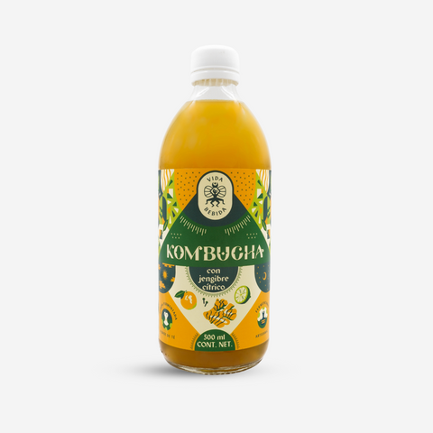 Kombucha Jengibre Cítrico