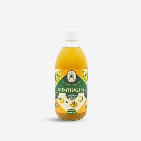 Kombucha Jengibre Cítrico