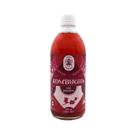 Kombucha Jamaica 500ml