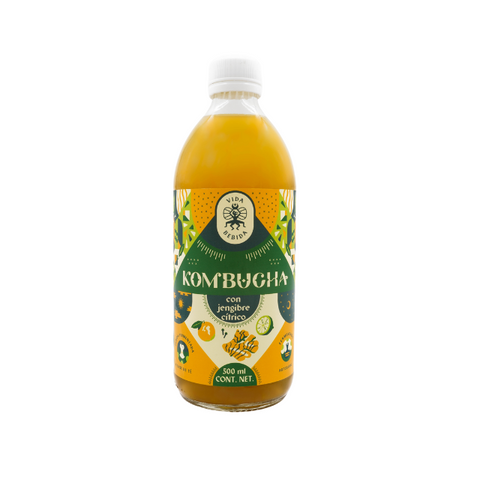 Kombucha Jengibre Cítrico 500ml