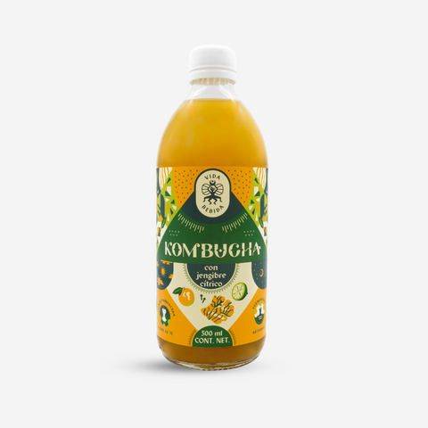 Kombucha Jengibre Cítrico (Paquete de 12)