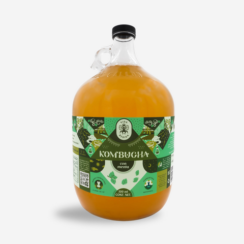 Kombucha Menta Bidón