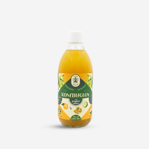 Kombucha Jengibre Cítrico 355ml/500ml