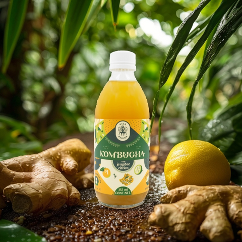 Kombucha Jengibre Cítrico (Paquete de 12)