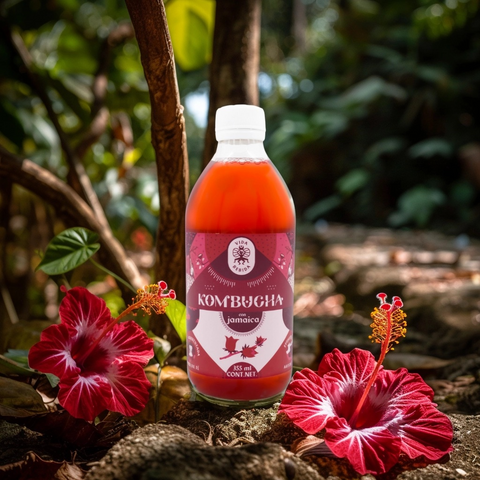 Kombucha Jamaica (Paquete de 12)